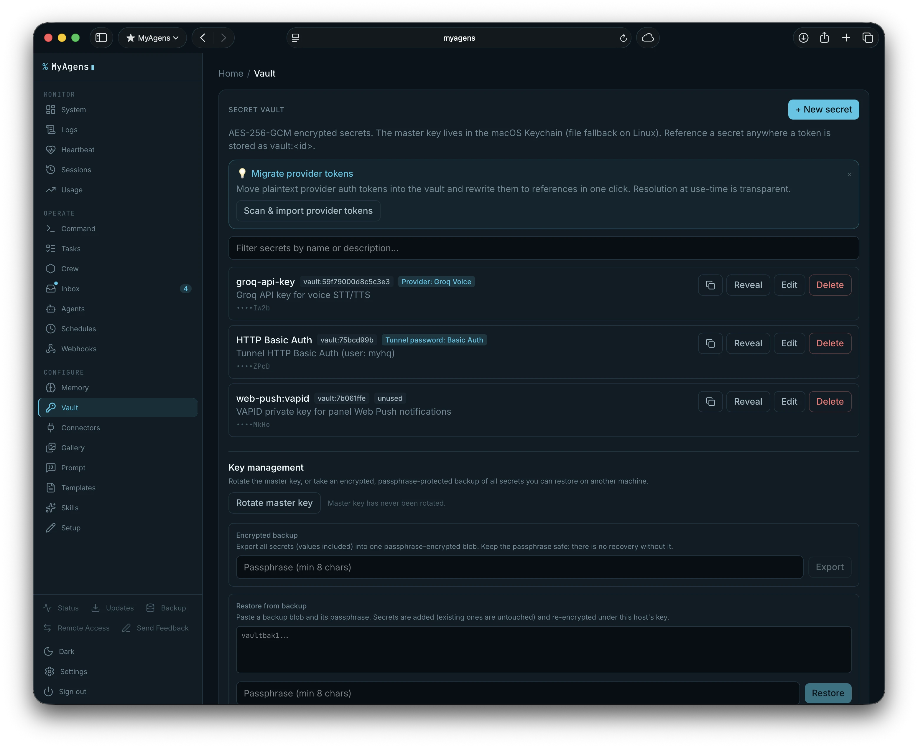 The Vault panel showing AES-256-GCM encrypted secrets with reveal, edit, and delete actions, plus master-key rotation and encrypted backup and restore